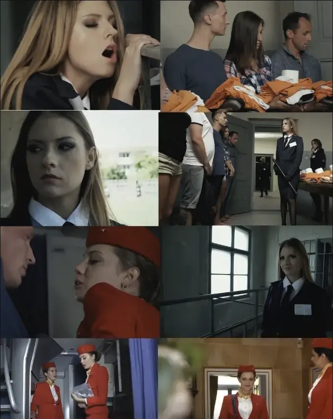 《啄木鸟系列电影合集》高清完整版 - 法国电影无删减在线播放 - 中文字幕免费看人性与欲望