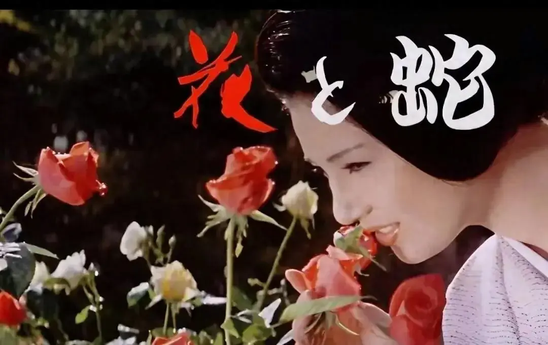 《花与蛇3：白衣绳奴》日本剧情片全集 - 高清完整版在线观看 - VS影视无广告播放