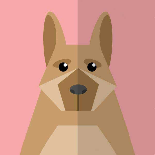 《母亲的烦恼/the no fap challenge》欧美电影1080P高清播放-完整版免费在线观看-无码未删减超清资源