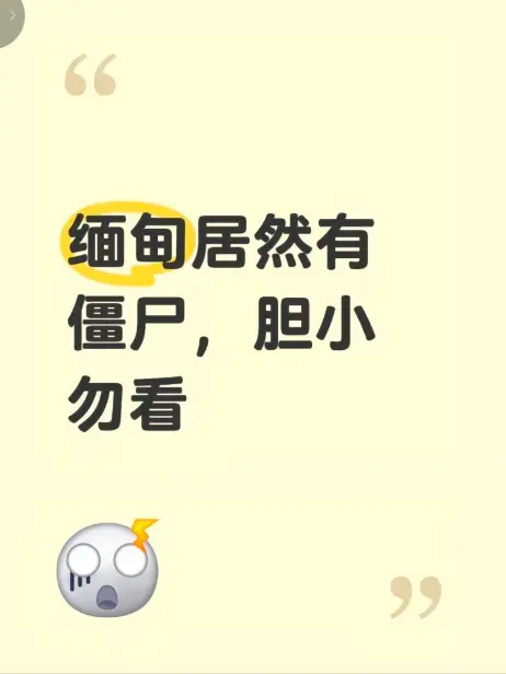 《缅甸僵尸出土事件》高清完整版在线免费播放-揭秘缅北僵尸出土事件真相-全程录像无删减