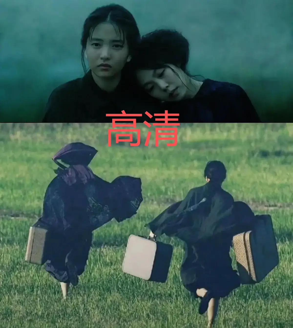 《小姐》韩国电影高清完整版在线观看-1080P超清免费播放-无删减中文字幕-完整版资源无广告