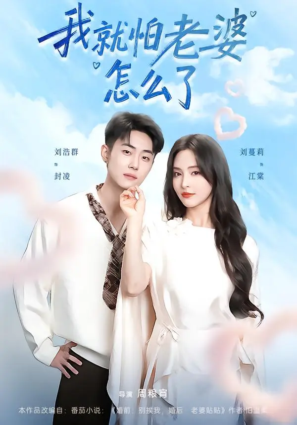 《我就怕老婆怎么了》全88集无广告免费看-刘浩群刘蔓莉主演短剧完整版资源-高清在线播放与网盘下载