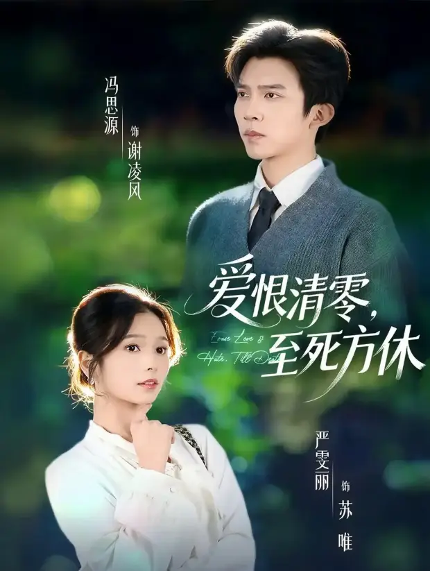 《爱恨清零，至死方休》又名《风雪长眠旧故里》 - 51集完整版在线看 - 4K画质免费观看