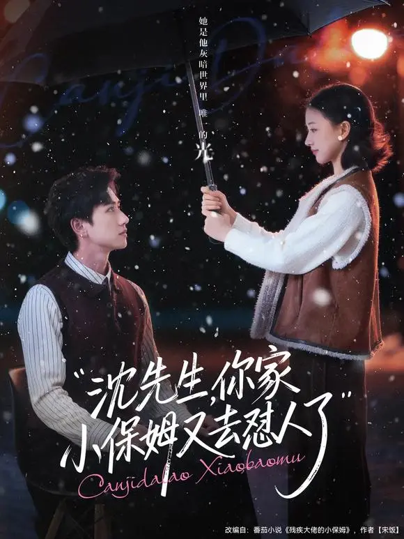 沈先生你家小保姆又去怼人了全集高清播放-《沈先生，你家小保姆又去怼人了》无删减完整版免费看-82集全网盘资源下载