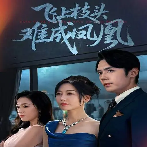 2023热门短剧《飞上枝头难成凤凰》全集免费-1-63集未删减高清资源-在线观看无广告