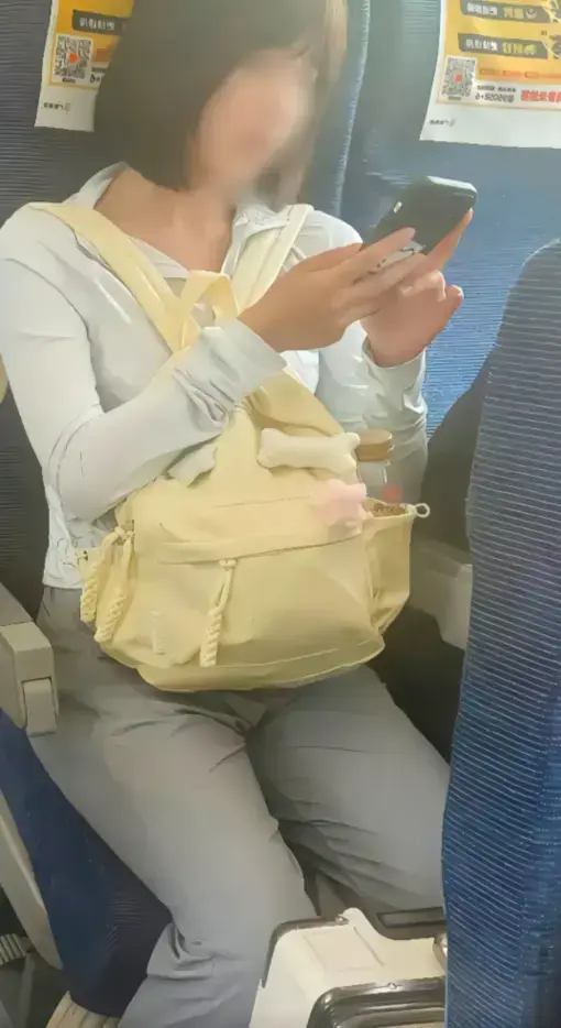 《高铁短发女孩原视频》完整版-高铁女孩54秒视频高清播放-高铁上的妹子梗由来解析-网盘资源免费下载