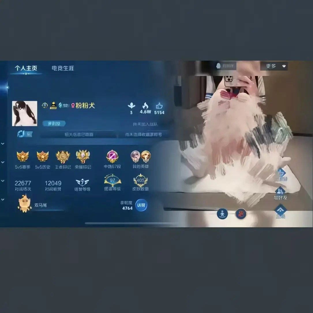 王者荣耀粉粉犬主页视频 - 《粉粉犬王者荣耀主页》无删减版 - 皮肤国标教学在线观看