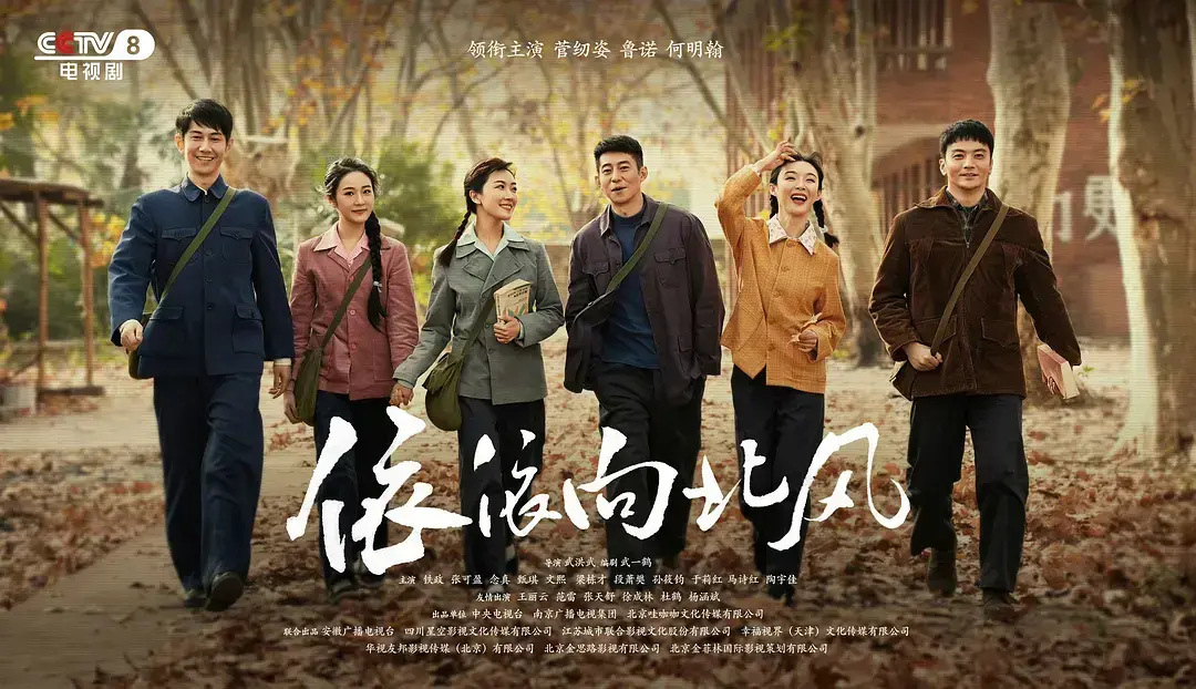 《依依向北风》国产电视剧全季无删减 - 高清完整版在线看 - 网盘观看资源免费下载