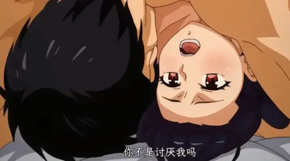 虽然不是自己的菜，与讨厌姐姐的超契合1-12集完整版 - 高清版在线畅看 - 网盘资源一键下载 - 樱花动漫独家