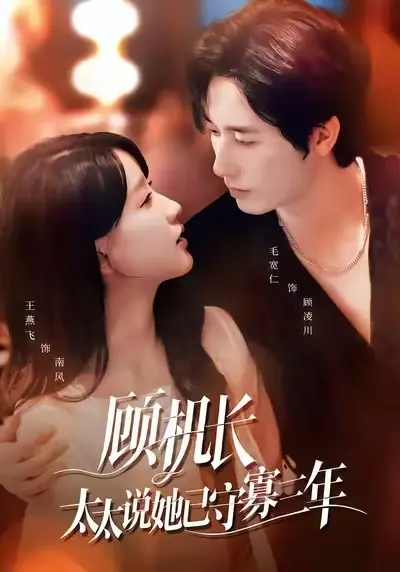 《顾机长，太太说她已守寡三年》顾凌川南风短剧_免费在线观看全集_HD高清无卡顿_最新完整版资源