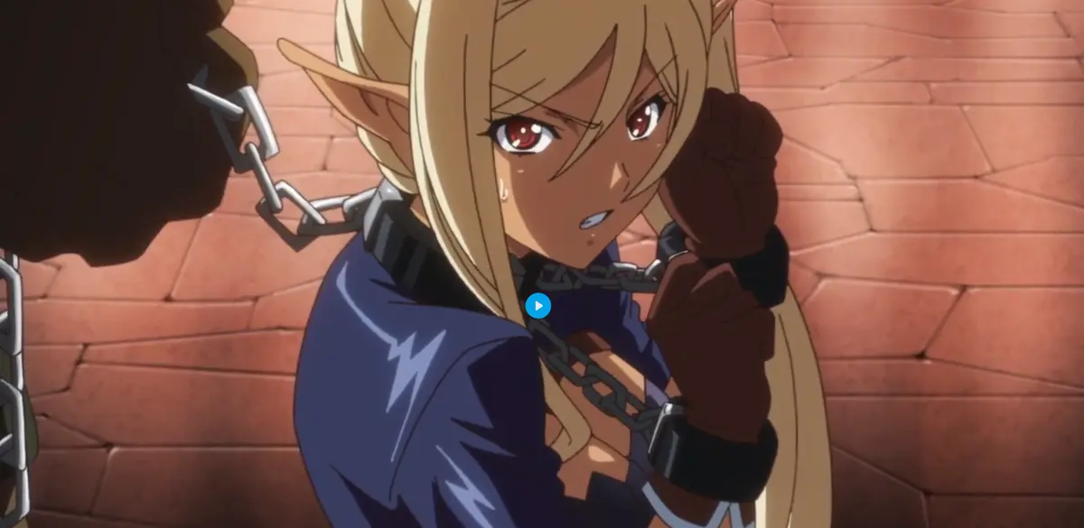 《黑兽》1-6集免费高清观看-黑兽动漫无删减全集播放-网盘分享圣女篇完整版-流畅无广告追番体验