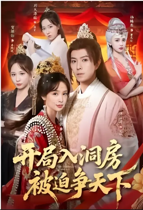 《开局入洞房，被迫争天下》全季未删减版 - 免费完整版在线观看 - HD高清画质流畅播放