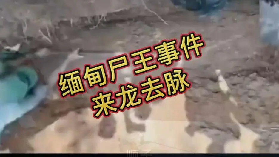 缅甸僵尸出土事件视频资源下载-缅北诡异真相解密完整版在线观看免费播放-未删减全程录像高清下载